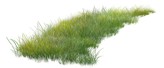 grass isolated on white background/Green grass meadow field with fresh foliage, natural lawn landscape outdoors.