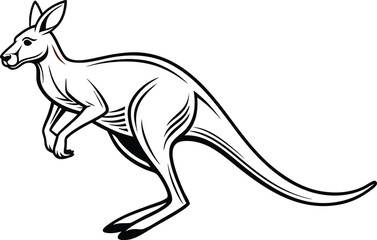 Kangaroo Illustration. Realistic Kangaroo Artwork. Wild Kangaroo Drawing. Jumping Kangaroo Illustration. Kangaroo Family Artwork. Baby Kangaroo Drawing. Australian Kangaroo Illustration