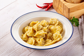 Tasty Russian dumplings with meat