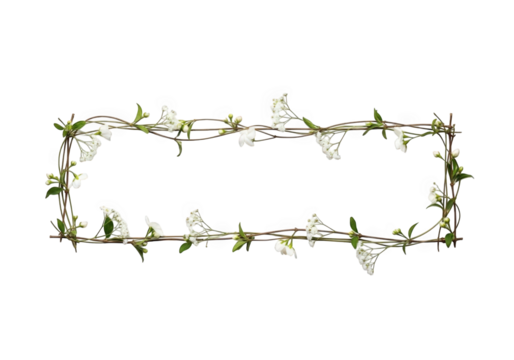 Horizontal floral border with white flowers isolated on transparent background