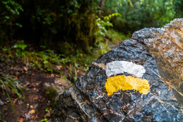  PR sign painted on a wet rock in the forest