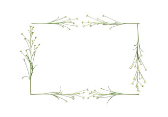 Rectangular frame of delicate green sprigs isolated on transparent background