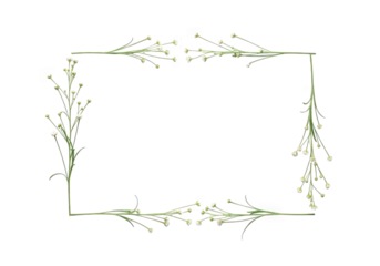 Rectangular frame of delicate green sprigs isolated on transparent background
