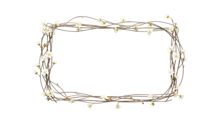 Rectangular frame made of thin branches and small white flowers isolated on transparent background