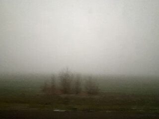 Photography of blurred abstract depressive foggy nature background. Empty defocused monochrome scene