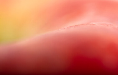 Colorful background texture. Abstract texture background.