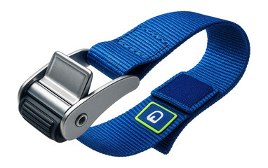 Cam buckle strap with polyester webbing for rooftop cargo