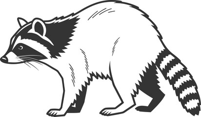 Raccoon Illustration. Cute Raccoon Drawing. Realistic Raccoon Artwork. Baby Raccoon Illustration. Raccoon Face Drawing. Funny Raccoon Cartoon. Wild Raccoon Illustration. Raccoon Character Artwork