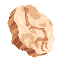 Dinosaur fossil skeleton bones, excavations of archeology isolated. Prehistoric reptile skeletons lying underground. Cartoon paleontological artifact