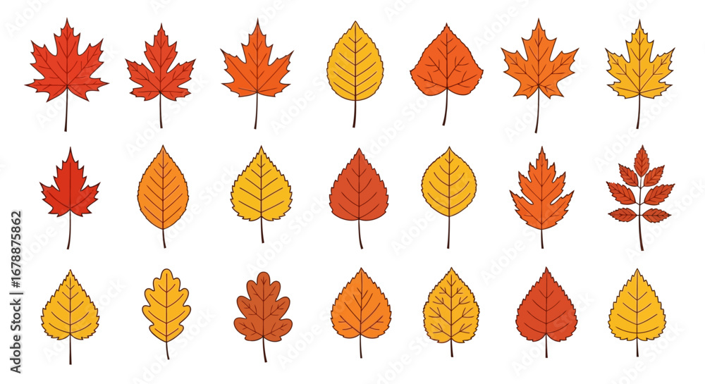 Poster vector icons set of colorful collection of various autumn leaves in a flat vector style. eps editabl