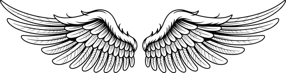 Angel wings line art, feathered symmetrical wings vector, black and white sketch, bird flight wings drawing, fantasy tattoo design, hand drawn feather illustration