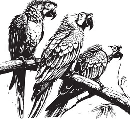 Three Macaw Parrots Perched on a Branch bird tropical