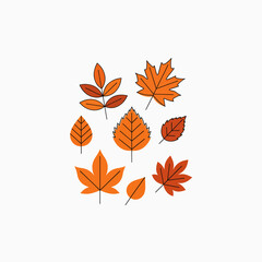 Obraz premium Collection of Various Autumn Leaf Illustrations