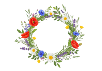Wildflower wreath isolated on transparent background