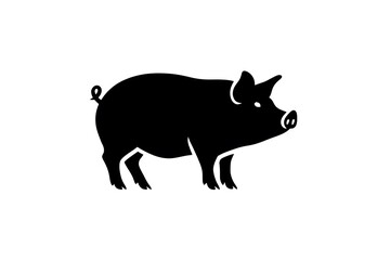 Obraz premium Black pig standing in a white background.