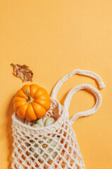 Reusable Mesh Bag with Autumn Pumpkins and Leaf