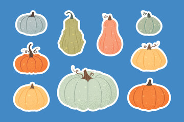 Fall collection of elements, simple textured vector set of pumpkins and squashes. Bright pumpkin illustration. Fresh squash, harvest vegetables, bright stickers, blue background