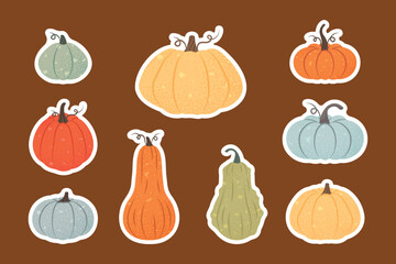 Fall collection of elements, simple textured vector set of pumpkins and squashes. Bright pumpkin illustration. Fresh squash, harvest vegetables, bright stickers, warm red brown background