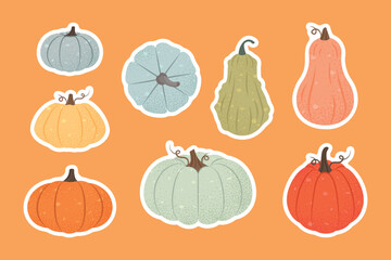 Fall collection of elements, simple textured vector set of pumpkins and squashes. Bright pumpkin illustration. Fresh squash, harvest vegetables, bright stickers, warm yellow background