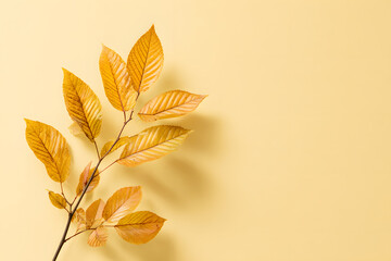 Autumn leaves on yellow background. Minimal and simple seasonal design material