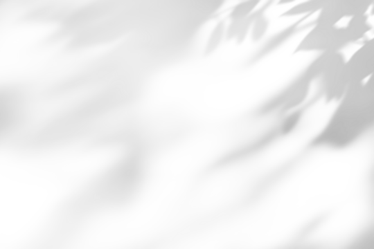 shadow overlay effect of natural tree leaves shadow over on white wall background,realistic summer sunlight abstract shadow overlay