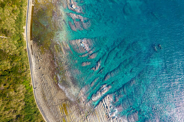 Aerial photography of Aoshima Island in Miyazaki Prefecture, Japan