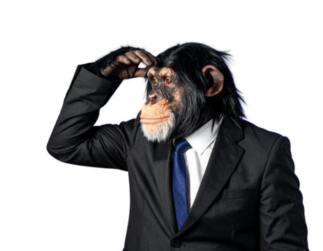 Chimpanzee in a Suit