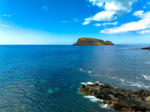 Bando se pombas noa Ilh&eacute;us das Cabras na Ilha Terceira 