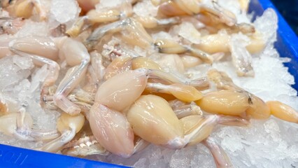 Close up frog meat at local market