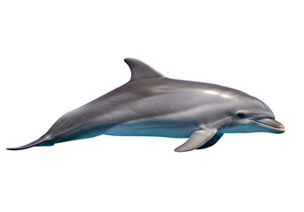 Fototapeta premium A graceful bottlenose dolphin swims in clear blue water with its sleek body and friendly expression isolated on transparent background