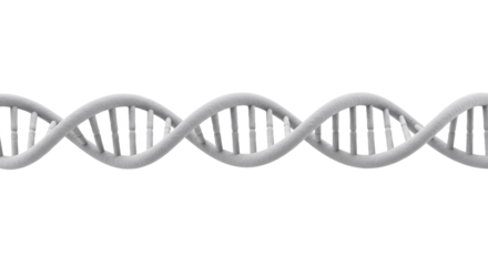Detailed 3d rendering of a white dna double helix structure showcasing its intricate spiral staircase formation isolated on transparent background