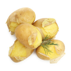 Tasty young boiled potatoes with dill isolated on white, top view