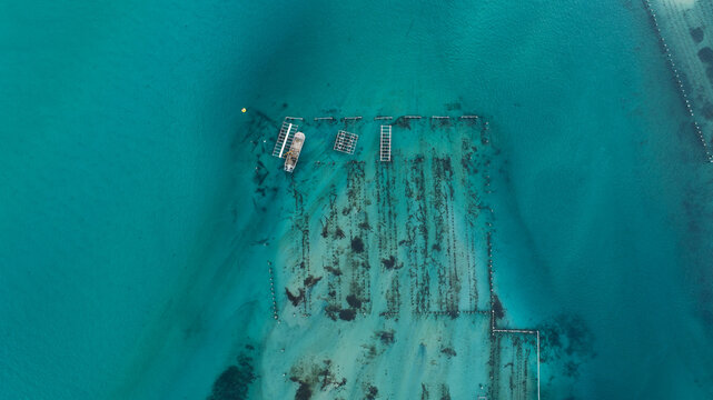 Aerial view of turquoise waters embrace the wooden pylons and structures, creating a stark contrast between the natural and man-made elements, Perth, Western Australia, Australia.