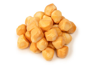 Piece of cheese isolated on white bacckground.