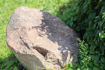 Large Boulder Among Green Vegetation in Nature