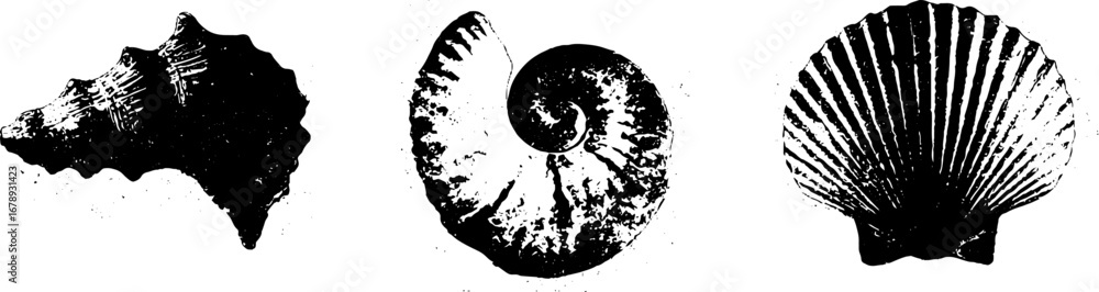 Poster black and white stencil set of fossil shells for art and design projects