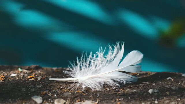 Soft white feather laying gently on rough bark surface in natural light, symbolizing fragility and stillness.