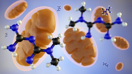 A 3d rendering of metformin, a small molecule, is actively transported into the mitochondria of liver cells. There, it targets the electron transport chain, which reduces ATP production.