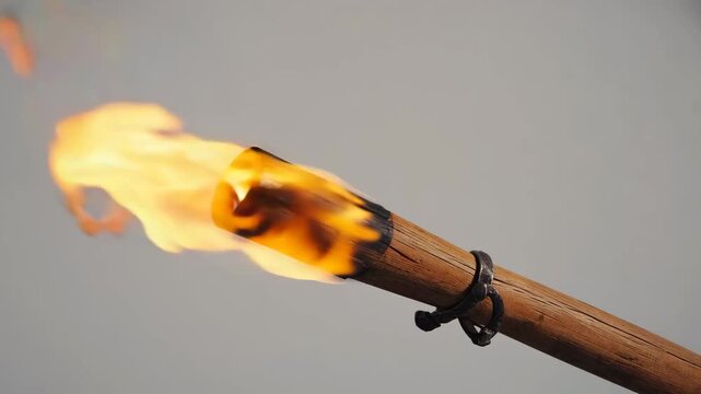 Wooden torch held upward with flame burning brightly, creating dramatic contrast against soft cloudy background.