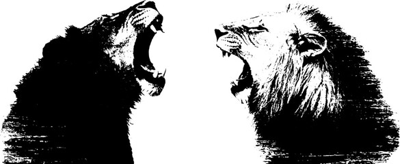 Majestic lion stencil set in black and white for design projects