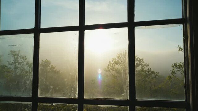 Sunlight shining through tall glass window with misty forest in background, creating peaceful, soft and atmospheric indoor view.