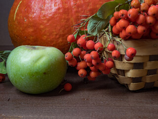 Autumn still life on the window - a bouquet of mountain ash, pumpkin, apples and a knitted blanket. Cozy house interior