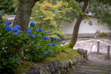 Chion-in Temple in Kyoto, Japan in summer