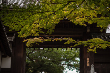 Chion-in Temple in Kyoto, Japan in summer