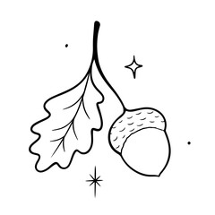 Delicate acorn and oak leaf illustration with celestial sparkle, perfect for autumn designs