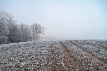 Endless white meadow resting under the silence of winter. A calm Christmas scene filled with frost, snow, and serenity