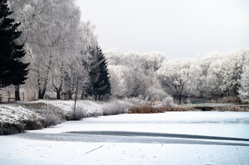 Icy pond reflects the pastel glow of a winter sunrise in a serene Christmas landscape