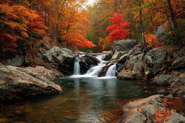 Maryland Fall. Stunning Autumn Waterfall on the Gunpowder River with Vibrant Forest Colors