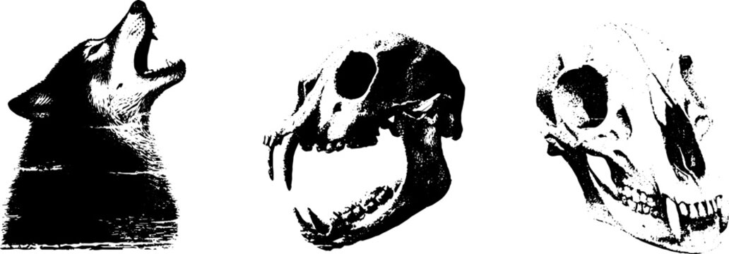 Black and white werewolf and skull stencil set for urban designs