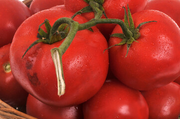 Tomates bio fraîches en gros plan